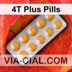 4T Plus Pills 497
