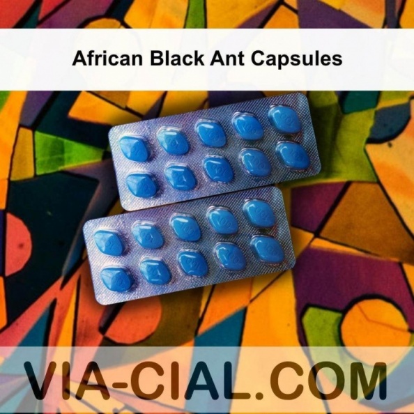 African_Black_Ant_Capsules_139.jpg
