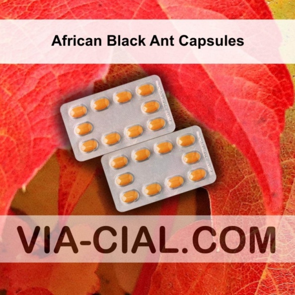 African_Black_Ant_Capsules_335.jpg