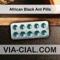 African_Black_Ant_Pills_994.jpg