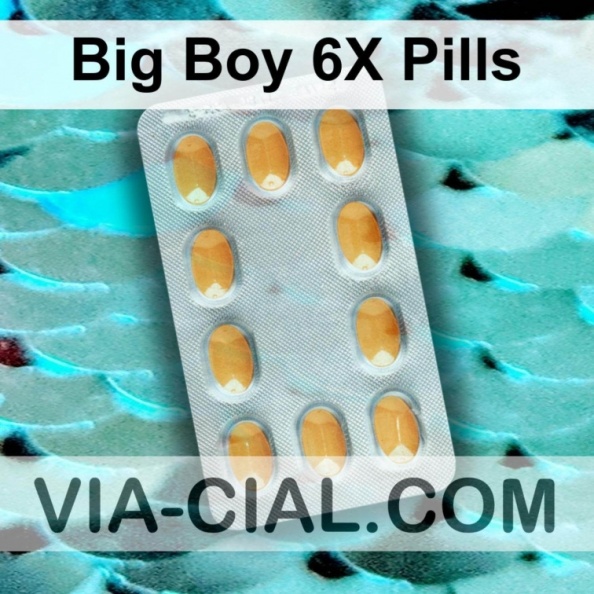 Big Boy 6X Pills 250