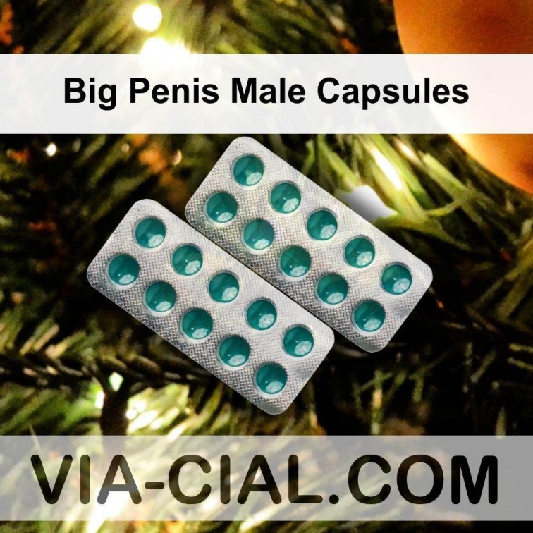 Big Penis Male Capsules 847