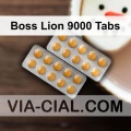 Boss_Lion_9000_Tabs_246.jpg