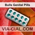 Bulls_Genital_Pills_860.jpg