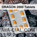 DRAGON_2000_Tablets_211.jpg