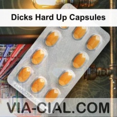 Dicks Hard Up Capsules 347