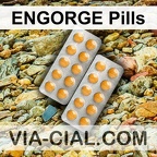 ENGORGE Pills 317