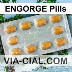 ENGORGE Pills 434