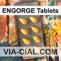 ENGORGE Tablets 948
