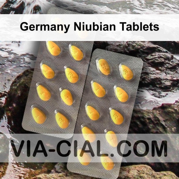 Germany_Niubian_Tablets_457.jpg