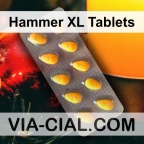 Hammer XL