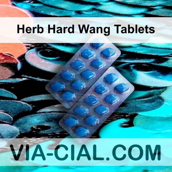 Herb_Hard_Wang_Tablets_057.jpg