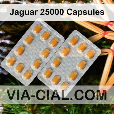 Jaguar 25000 Capsules 569