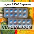 Jaguar_25000_Capsules_918.jpg