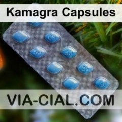Kamagra Capsules 588