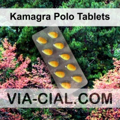 Kamagra Polo Tablets 860
