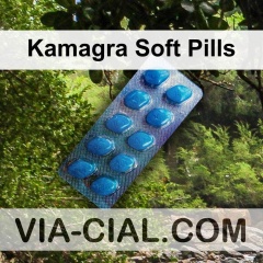 Kamagra Soft Pills 220