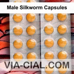 Male Silkworm Capsules 393