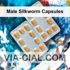 Male Silkworm Capsules 511