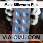 Male Silkworm
