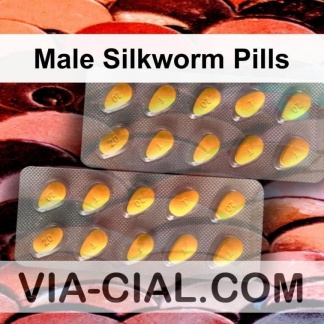 Male Silkworm Pills 450