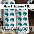Male Silkworm Pills 594