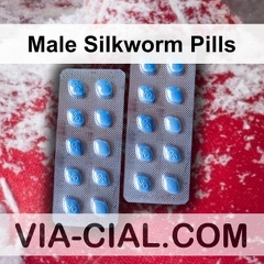 Male Silkworm Pills 954