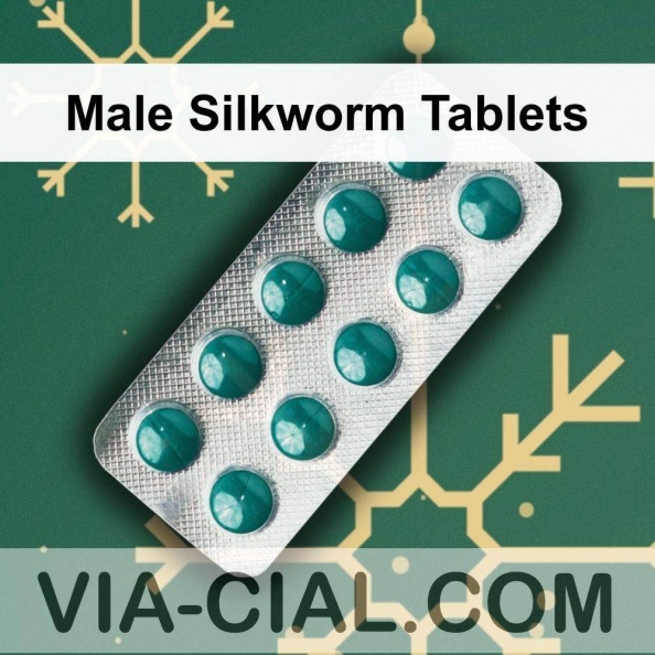 Male_Silkworm_Tablets_545.jpg