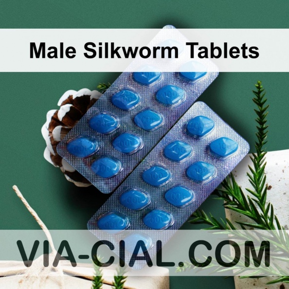 Male_Silkworm_Tablets_962.jpg