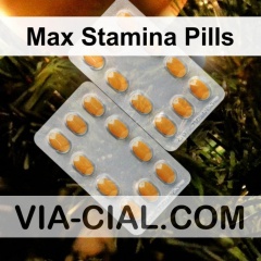 Max Stamina Pills 733