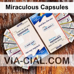 Miraculous Capsules 328