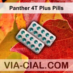 Panther 4T Plus Pills 591
