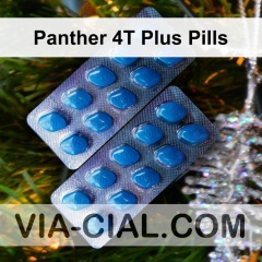 Panther 4T Plus Pills 637