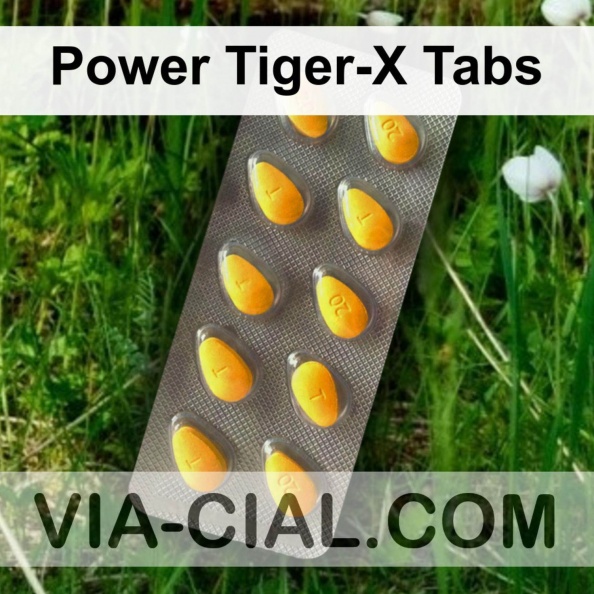 Power_Tiger-X_Tabs_018.jpg