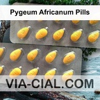 Pygeum Africanum Pills 537
