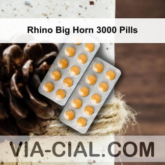 Rhino Big Horn 3000 Pills 528