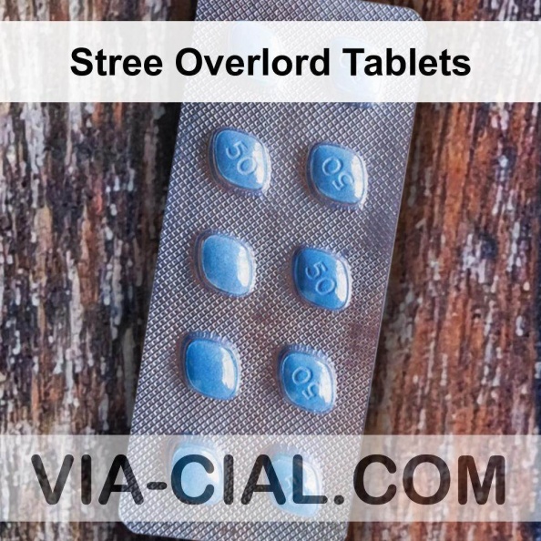 Stree_Overlord_Tablets_340.jpg