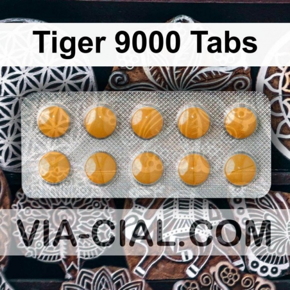 Tiger_9000_Tabs_085.jpg
