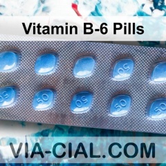 Vitamin B-6 Pills 209