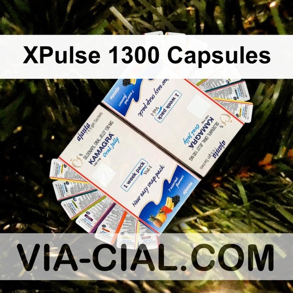 XPulse_1300_Capsules_021.jpg