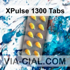 XPulse 1300 Tabs 016
