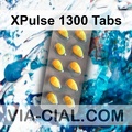 XPulse 1300 Tabs 016