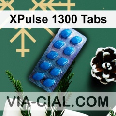 XPulse 1300 Tabs 499