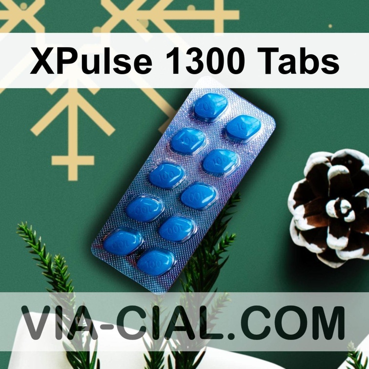 XPulse 1300 Tabs 499