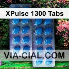 XPulse 1300 Tabs 724