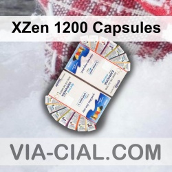 XZen 1200