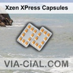 Xzen XPress