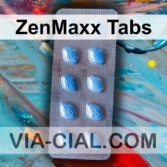 ZenMaxx Tabs 307