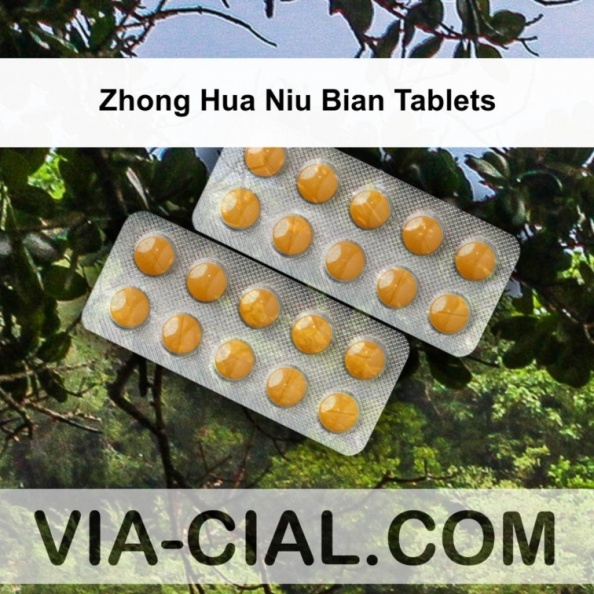 Zhong_Hua_Niu_Bian_Tablets_007.jpg