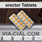 erector Tablets 348